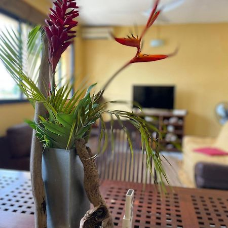 Appartement Tout Confort 상트 안느 외부 사진