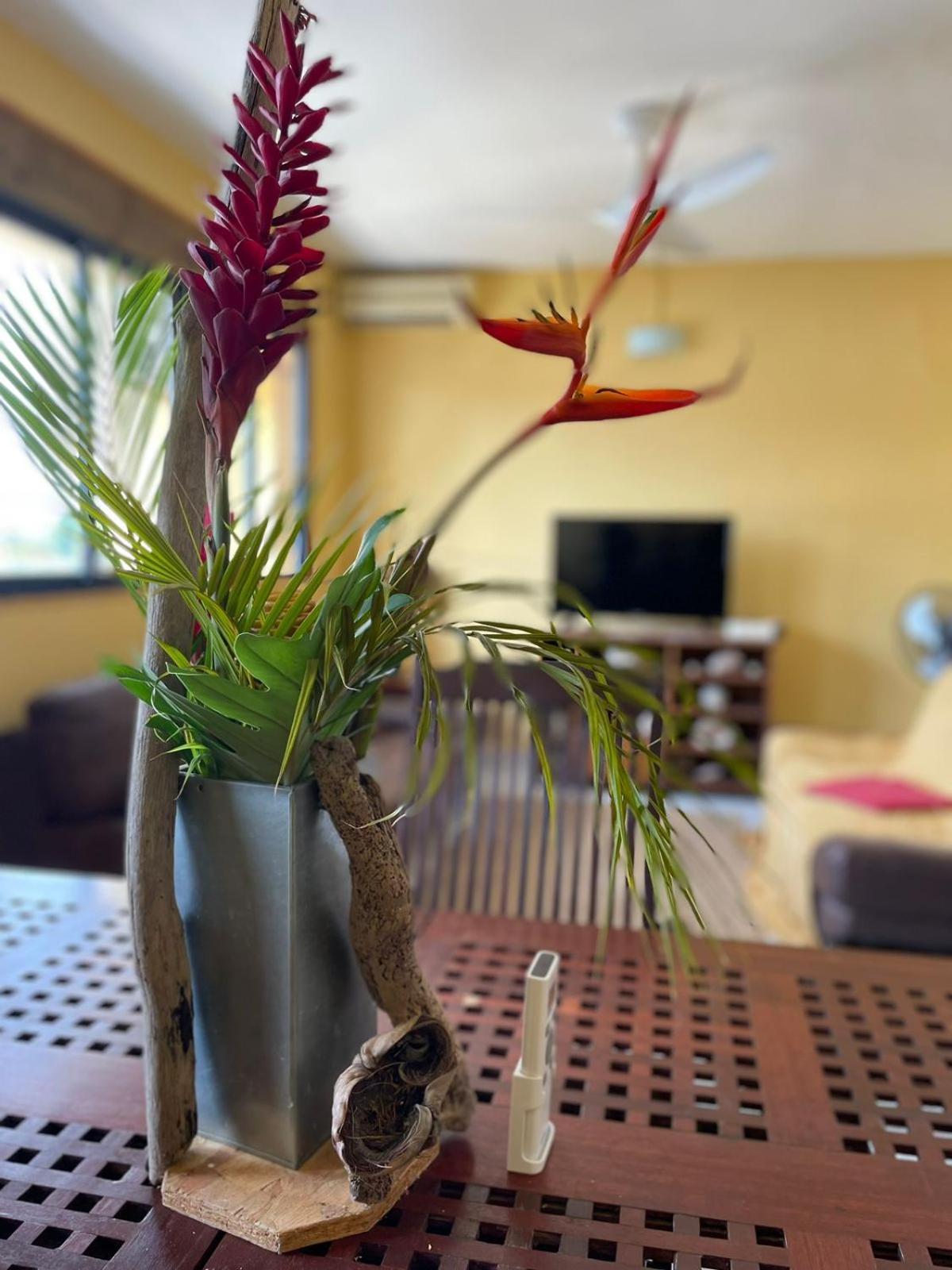 Appartement Tout Confort 상트 안느 외부 사진